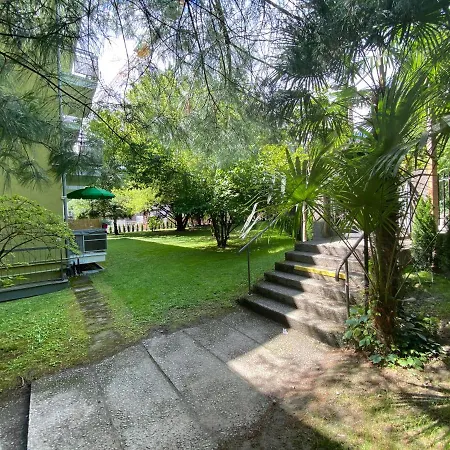 Pino A Centro Con Box