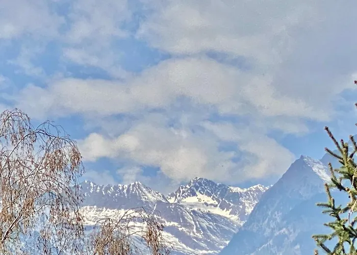 Pino A Centro Con Box Meran