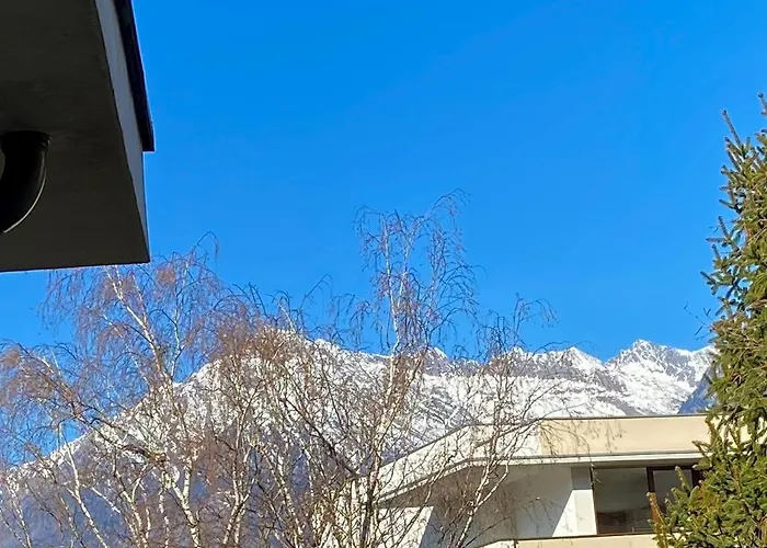 Pino A Centro Con Box